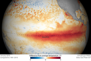 Those ocean temps are still going strong, according to the latest El Niño update. The next update is February 11